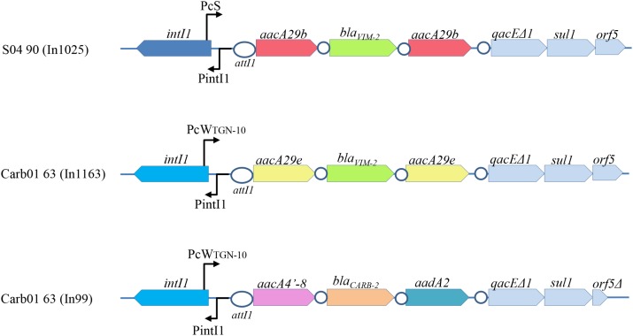 FIGURE 1