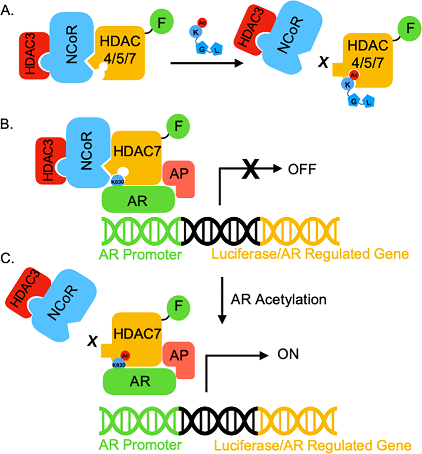 Figure 7.