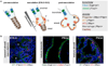 Extended Data Figure 1