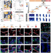 Extended Data Figure 5