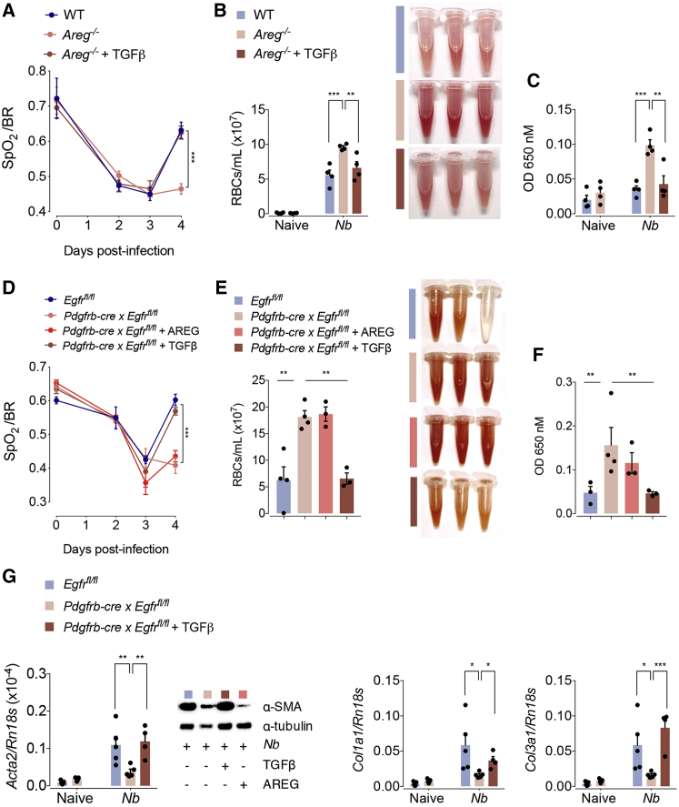 Figure 5