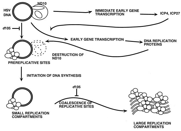 FIG. 10