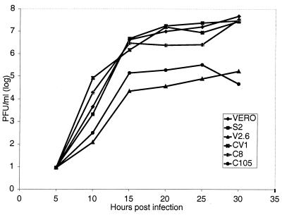 FIG. 1