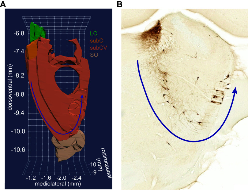 Figure 5.