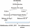 Figure 11.