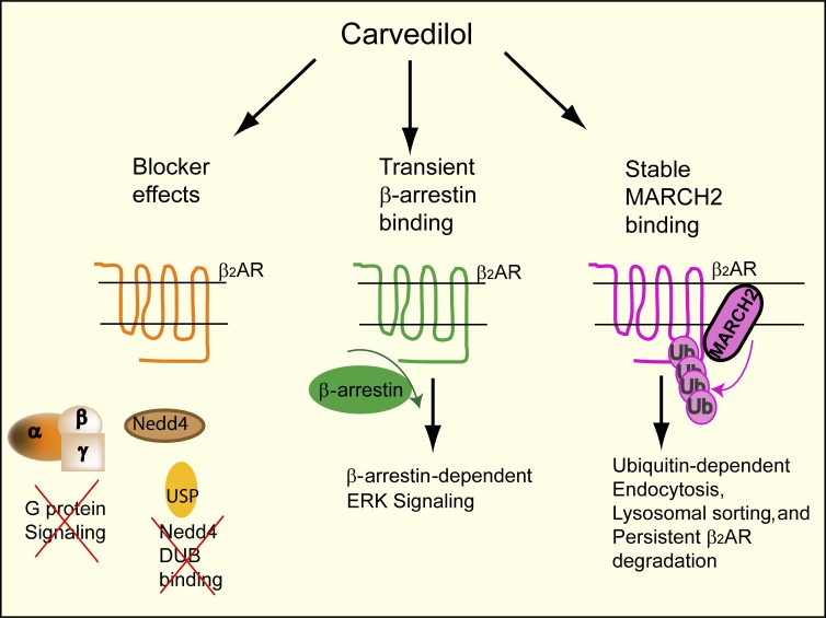 Figure 10.