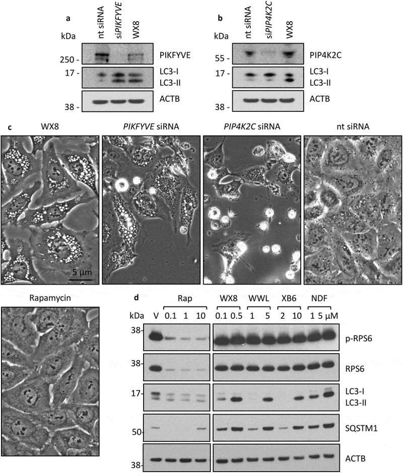 Figure 13.