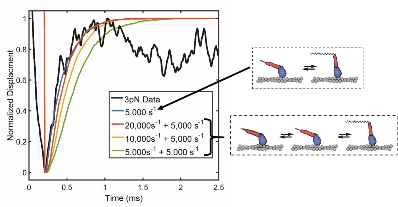 Figure 5—figure supplement 2.