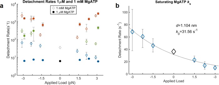 Figure 2—figure supplement 3.