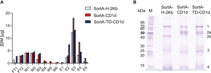 Figure 5