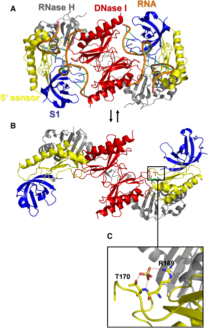 Figure 2