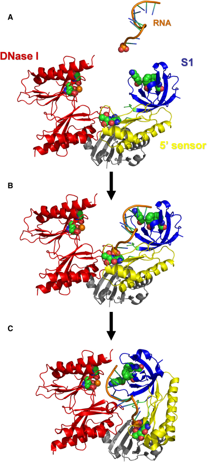 Figure 3