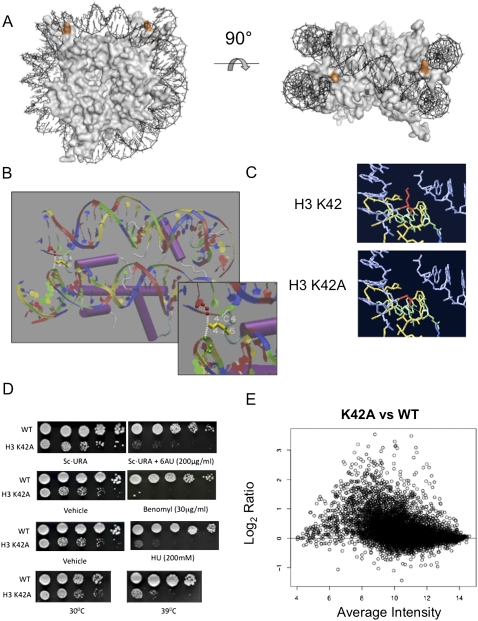 Figure 1.