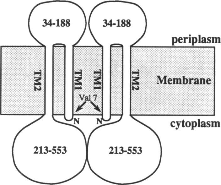 graphic file with name pnas01083-0485-a.jpg