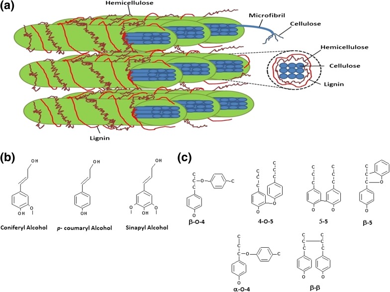 Fig. 1