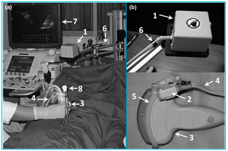 Figure 12