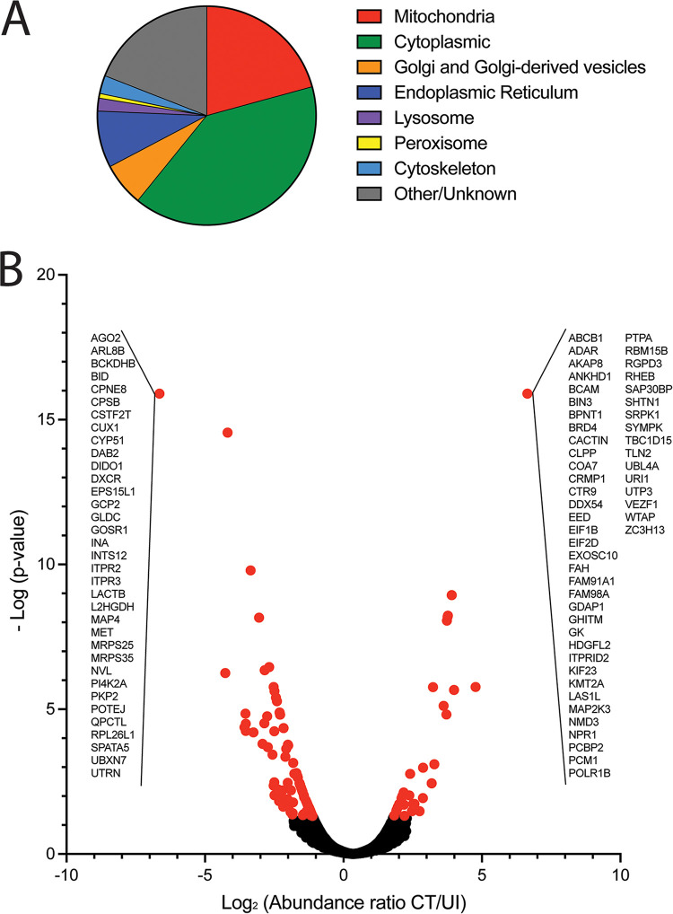 FIG 4