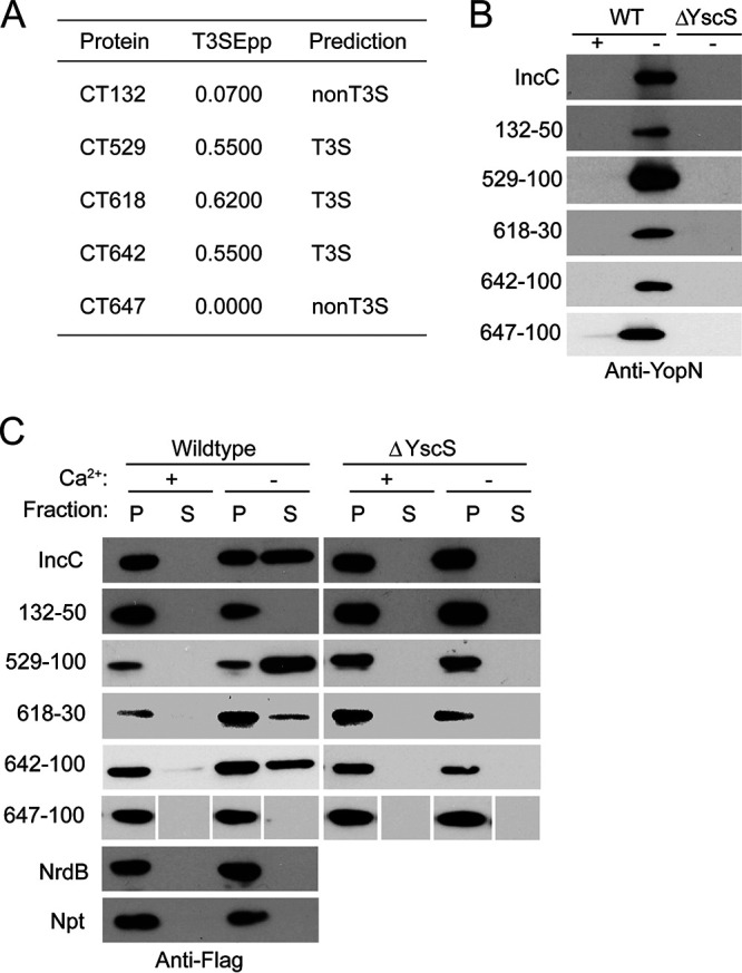 FIG 3