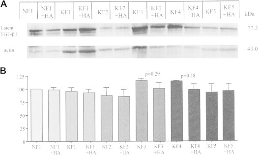 Figure 5