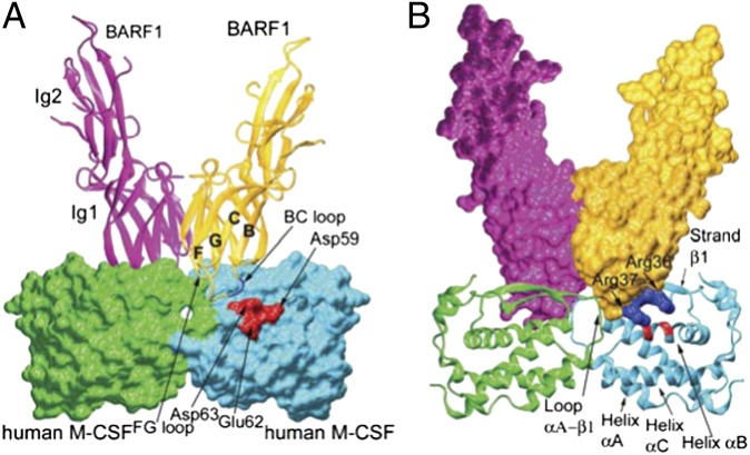 Fig. 3.