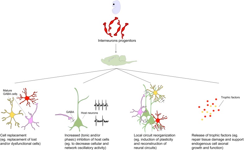 FIGURE 2