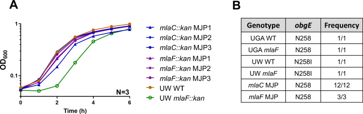 Figure 1—figure supplement 3.