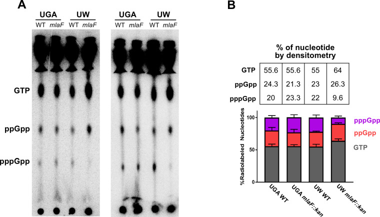 Figure 5—figure supplement 1.