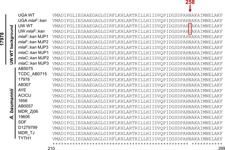 Figure 6—figure supplement 1.