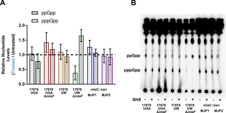 Figure 6—figure supplement 2.