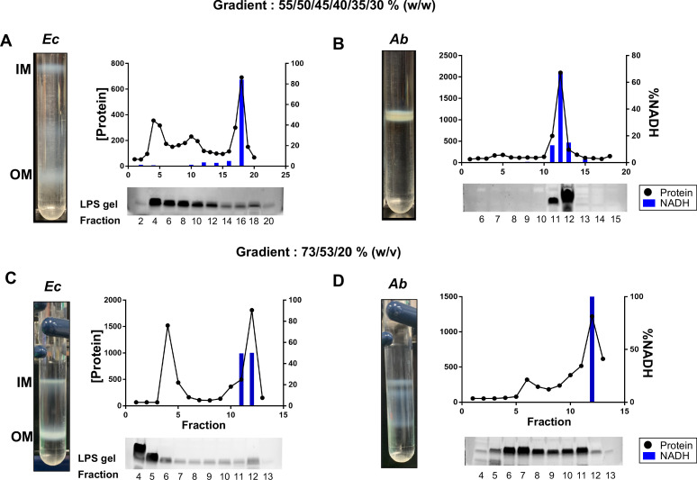 Figure 2—figure supplement 1.