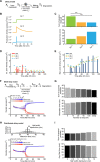 Figure 3—figure supplement 1.