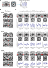 Figure 6—figure supplement 1.