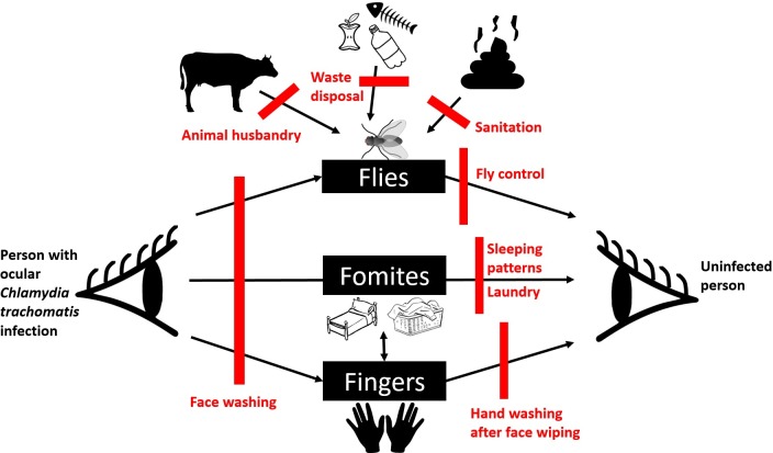 Fig 1