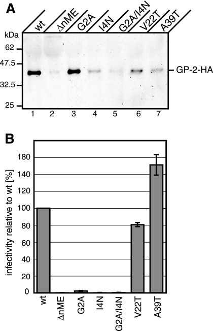 FIG. 7.