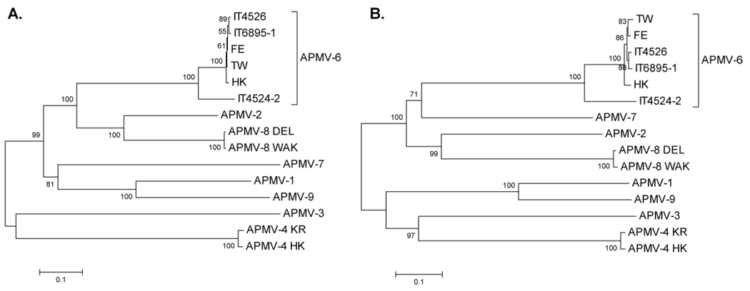 Fig. 8