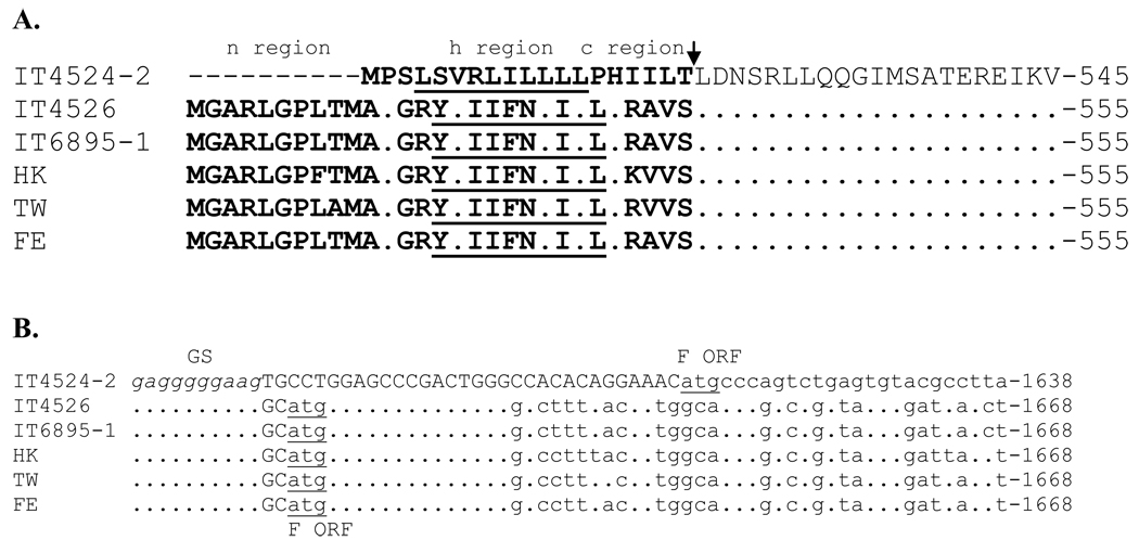 Fig. 6