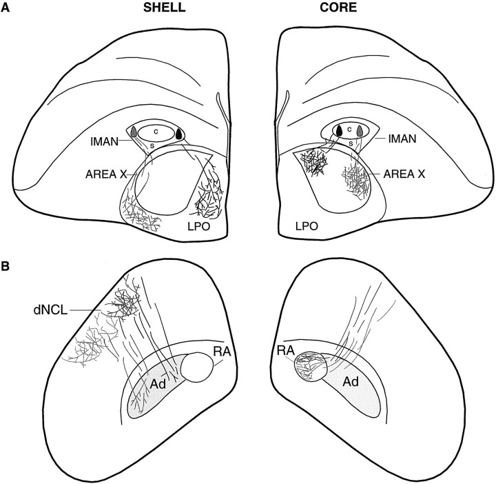 Fig. 10.