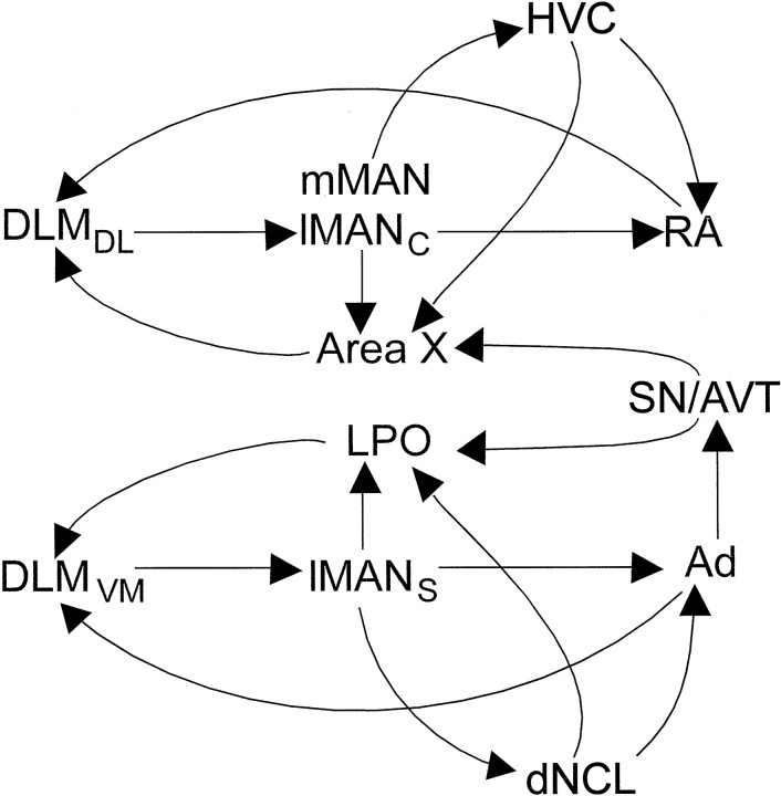 Fig. 12.