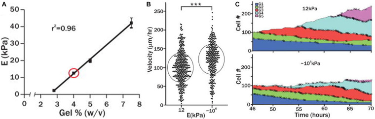 FIGURE 3