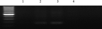 <b>FIG. 8.</b>