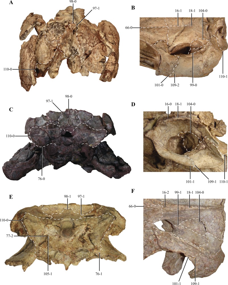 Figure 13