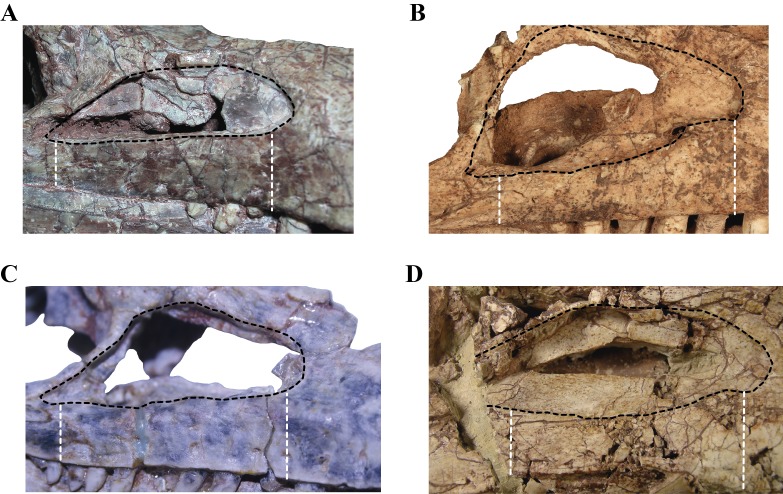 Figure 15