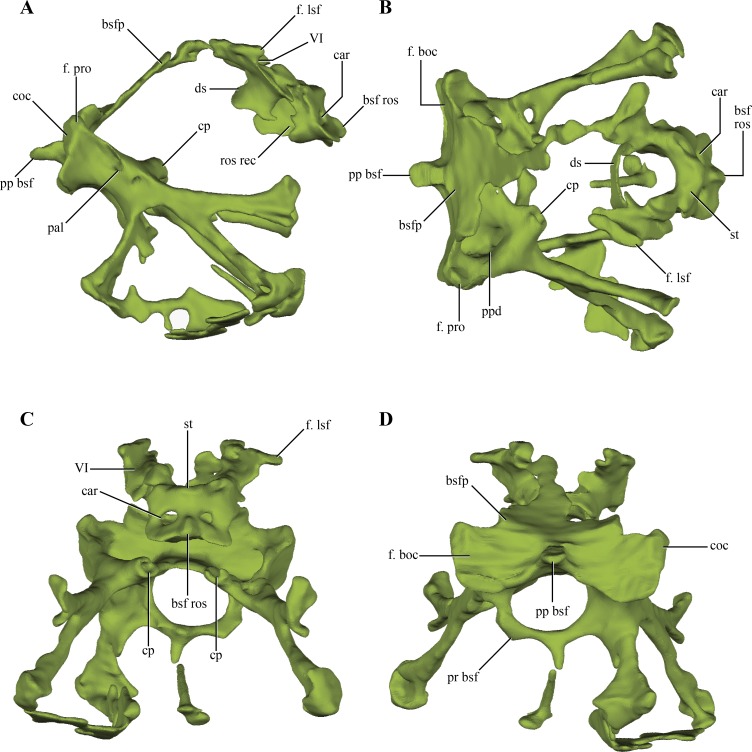 Figure 11