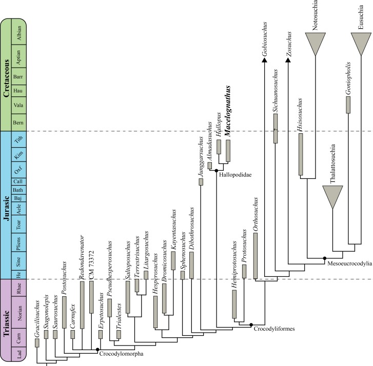 Figure 16