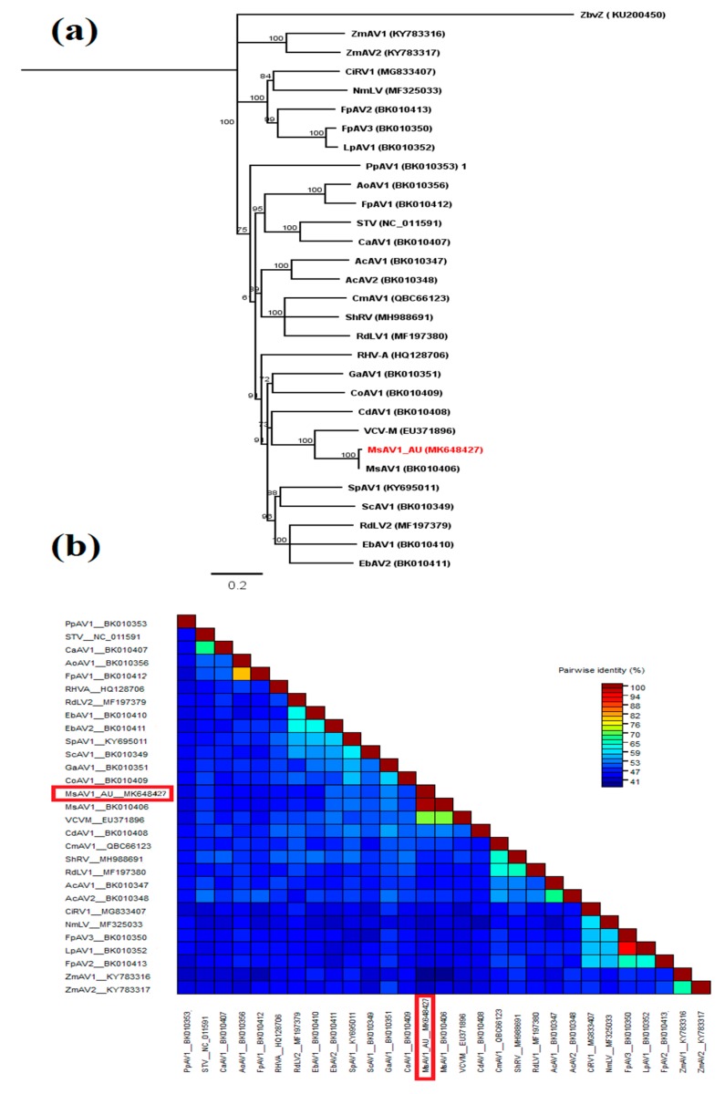 Figure 6