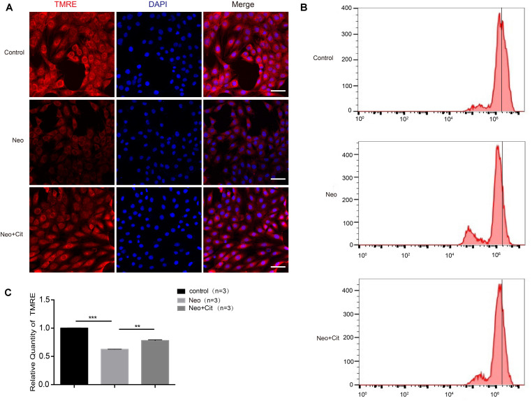 FIGURE 6