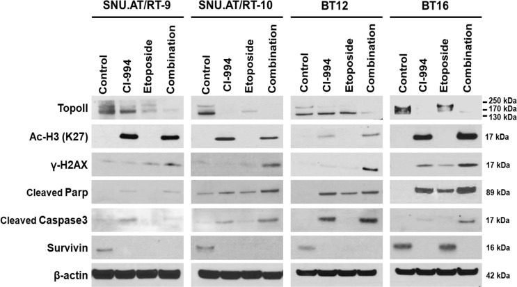 Figure 7