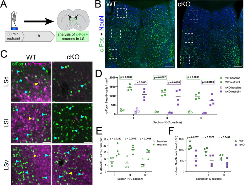 Figure 4: