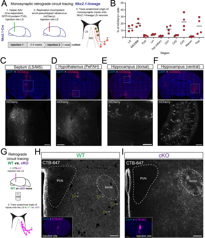 Figure 3: