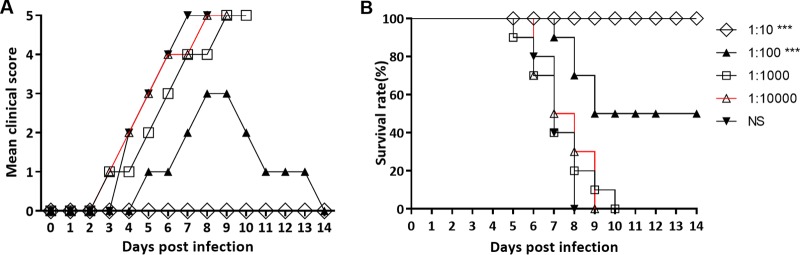 FIG 7